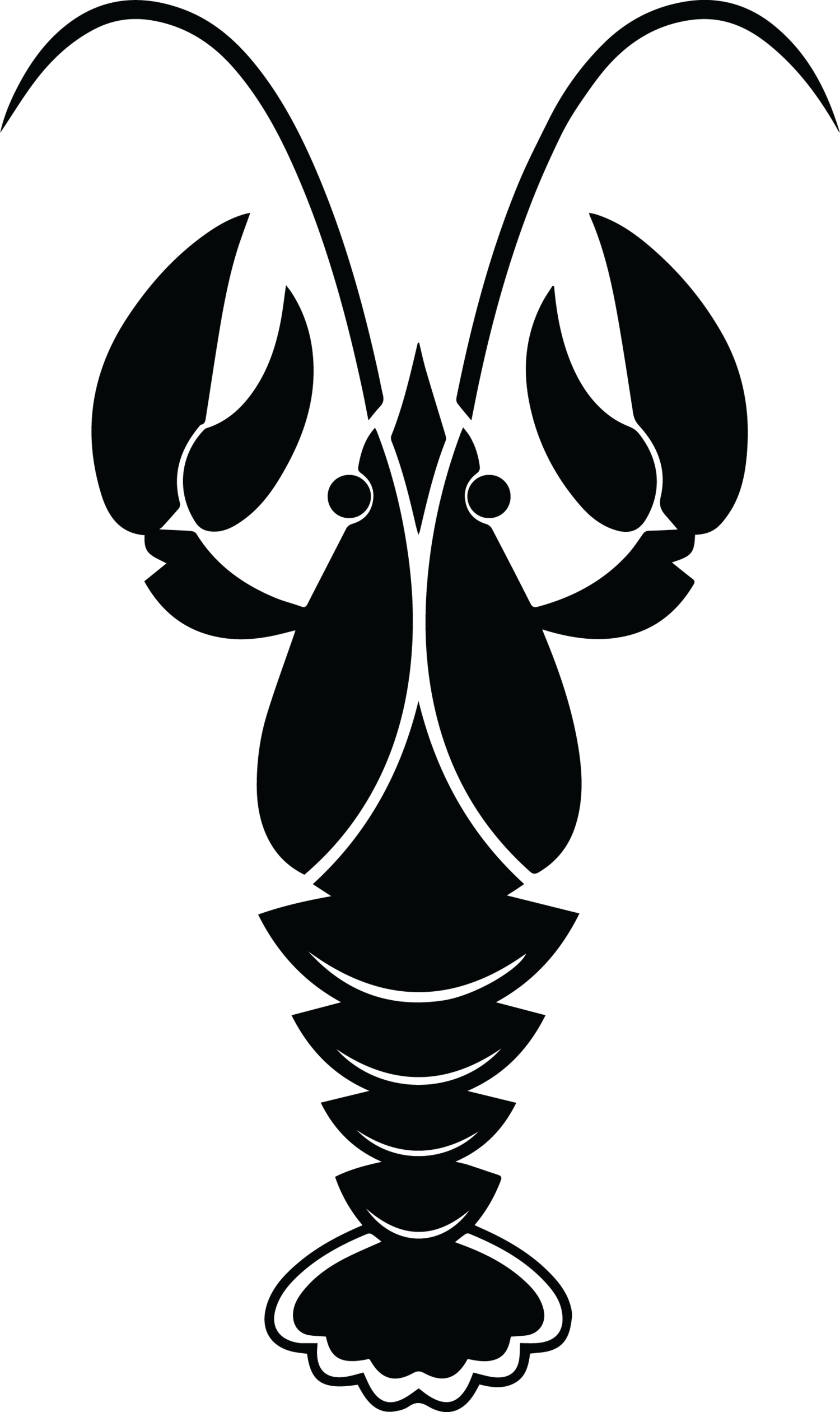 Crayfish Procambarus Clarkii Royalty-free - Crayfish Procambarus Clarkii Royalty-free (1500x2520)