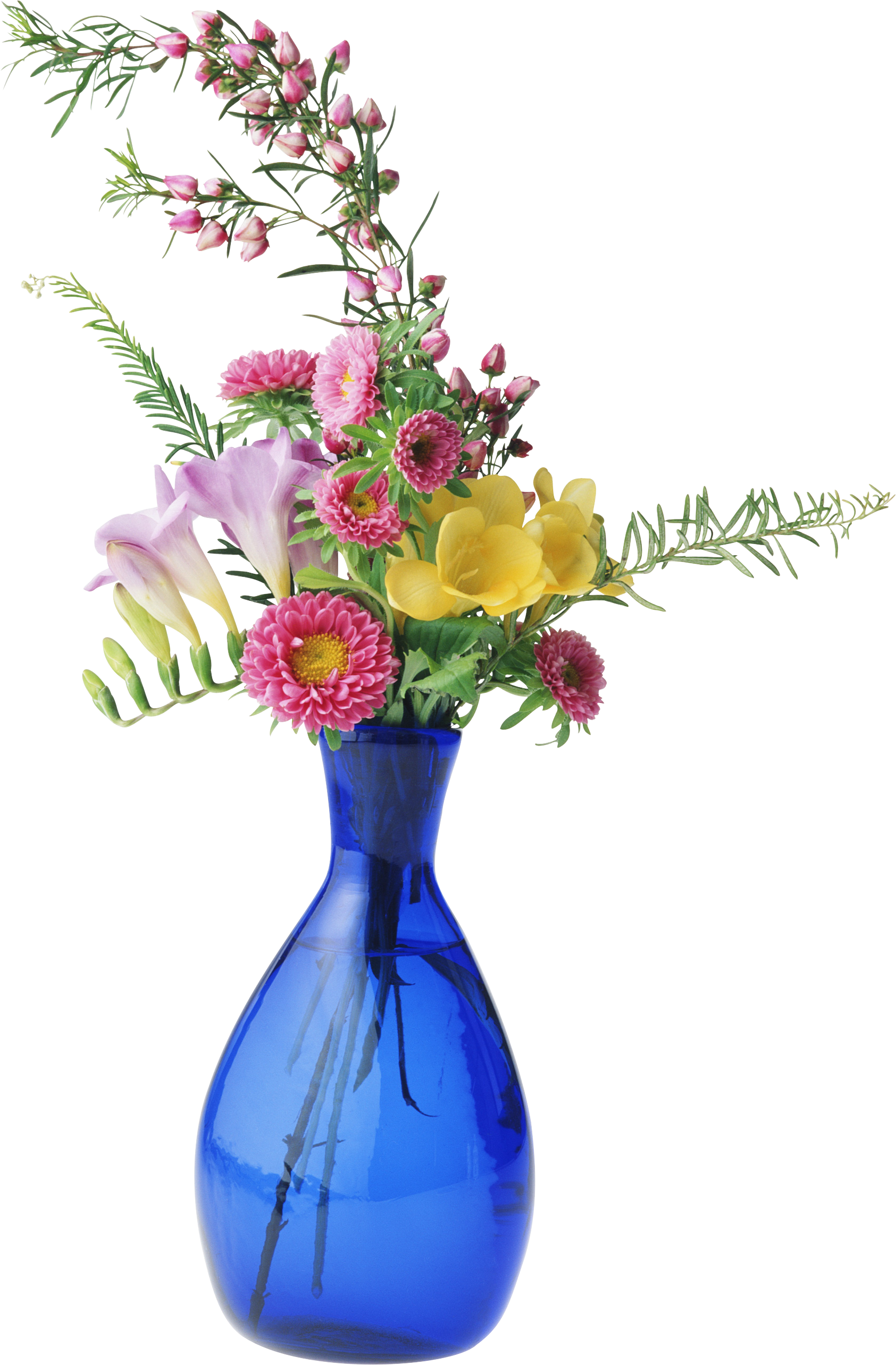 Vase Fotosearch Photography Clip Art - Vase Fotosearch Photography Clip Art (1685x2567)