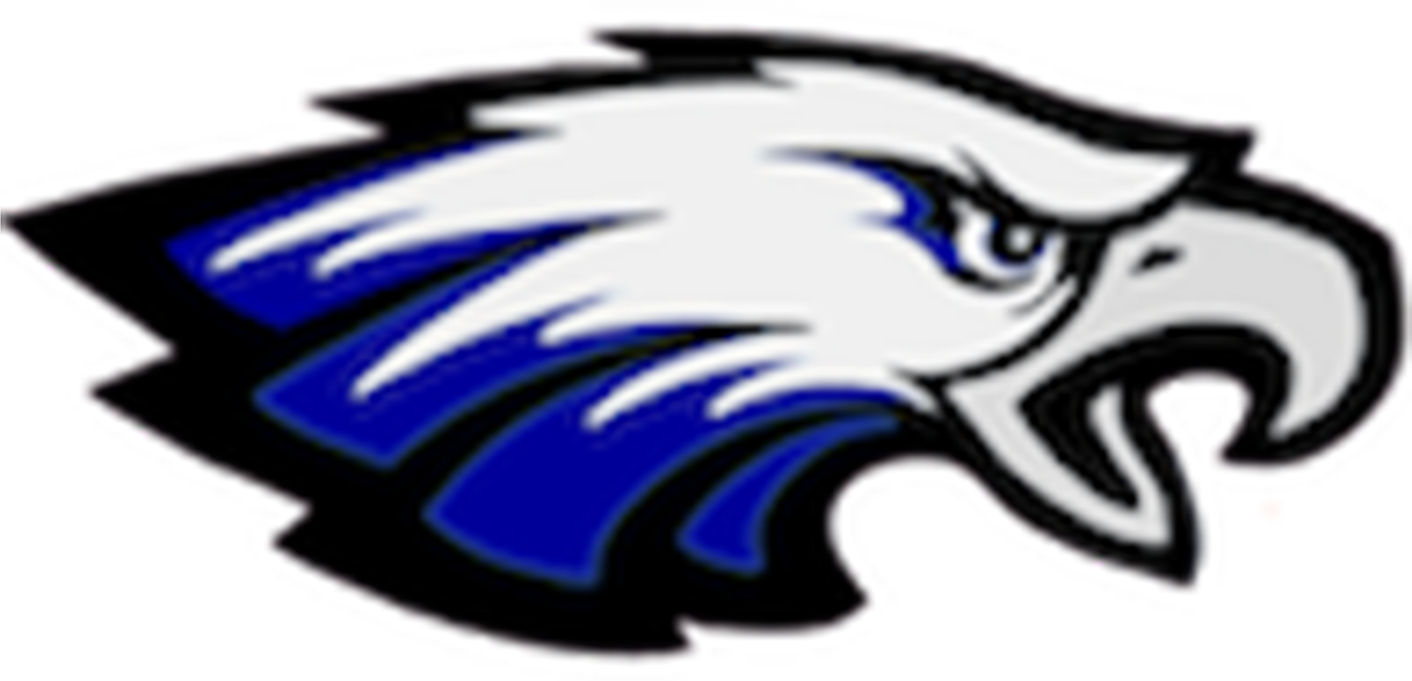 Chester County Schools - Graves County High School (4612x1403)