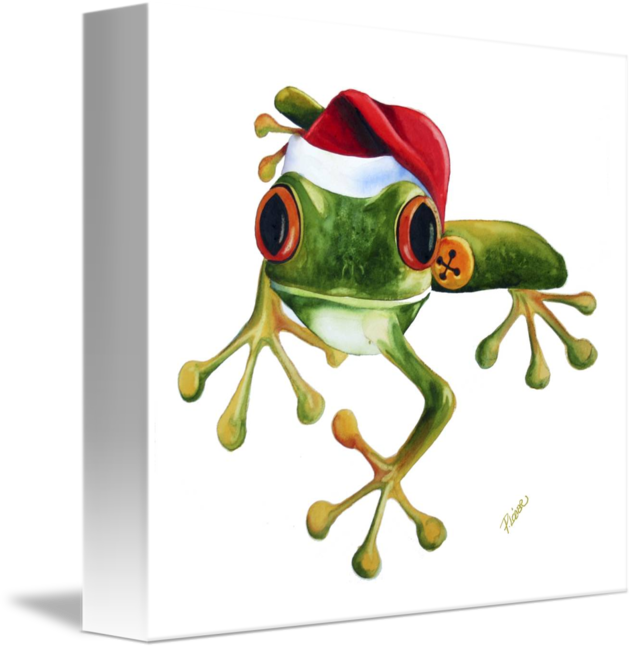 Lacrosse Cartoon (634x650)