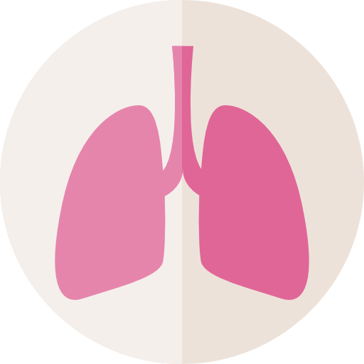 Lungs Icon Pictures - Lung Clipart Png (512x512)