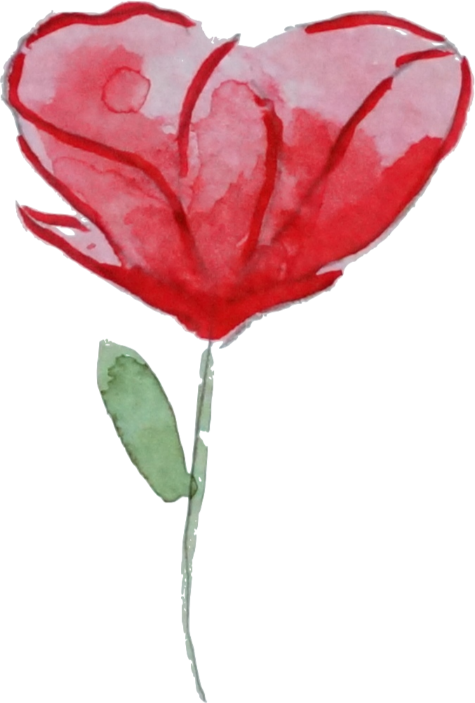 Flower Garden Roses Watercolor Painting Poppy Clip - Flower Garden Roses Watercolor Painting Poppy Clip (677x1003)