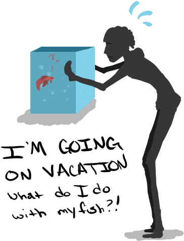 Siamese Fighting Fish Ryukin Food Aquariums - Goiung On Vacation (500x500)