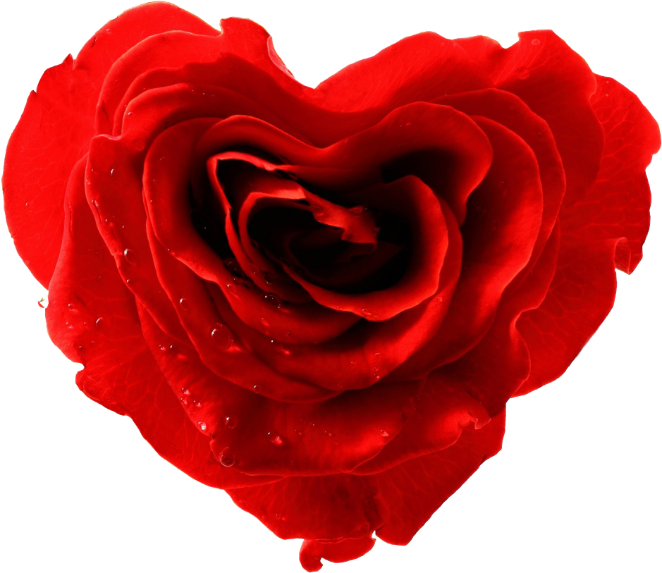 I Have Designed A Cute Valentine Day Card And Insert - Rose (1200x1100)