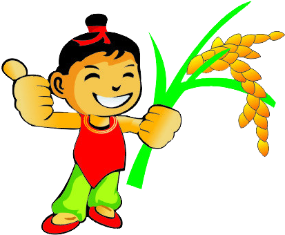 Oryza Sativa Rice Clip Art - Oryza Sativa Rice Clip Art (801x719)