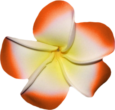 Album - Frangipani (400x384)