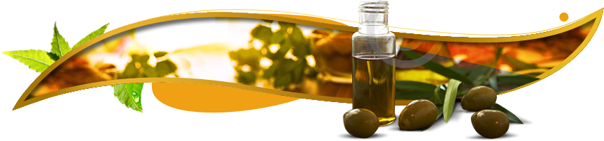 Our Mission - Ayurveda Png (867x203)