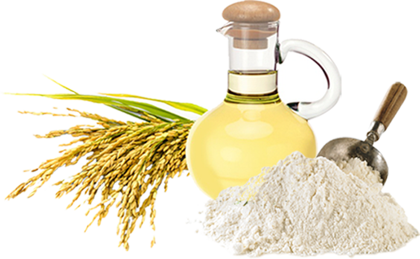 Defatted Rice Bran Production - Rice Bran Oil (828x510)