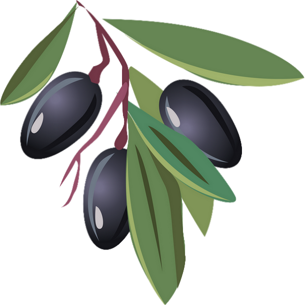 Branche - Dessin Olives Noires (600x600)