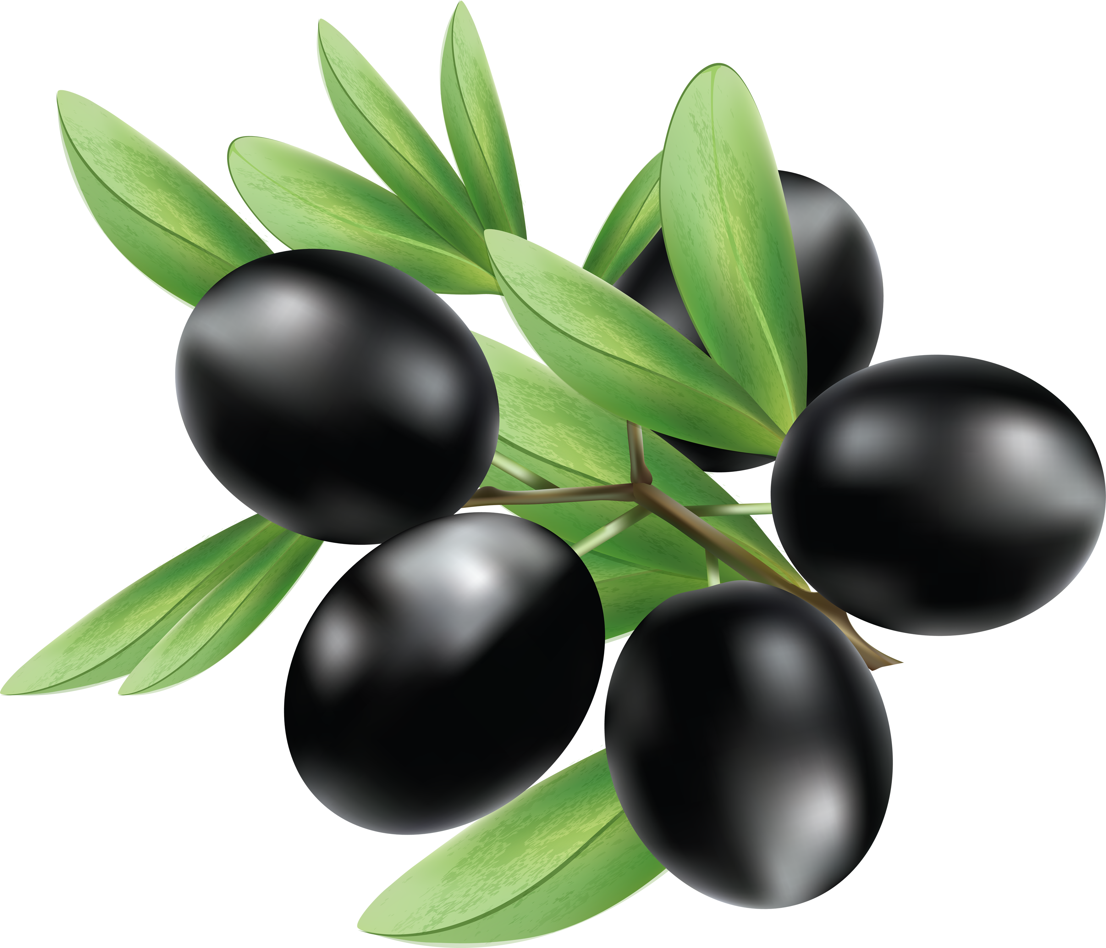 Black Olives Png (3519x3014)