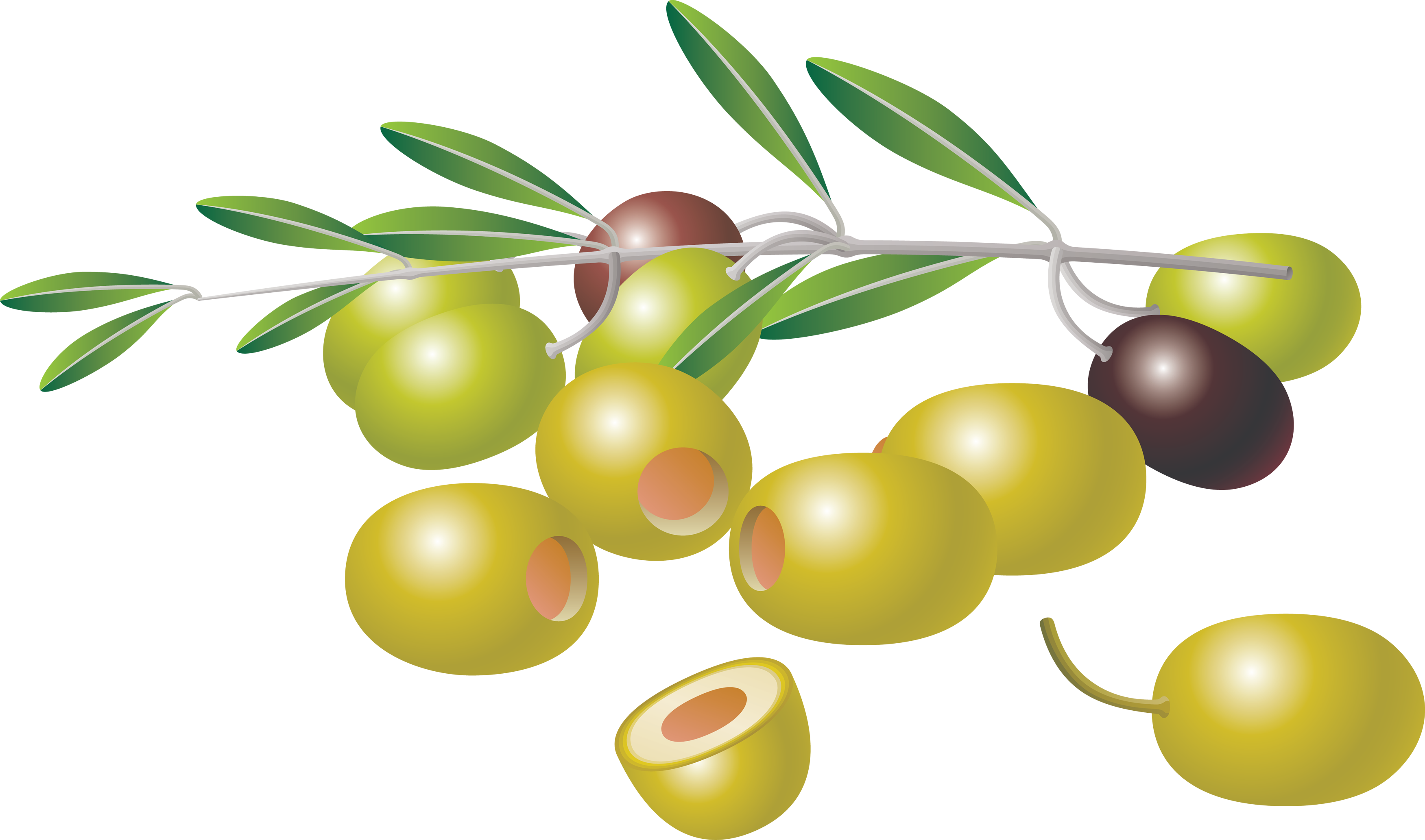 Olive Clipart Single - Olives Clipart Png (3503x2066)