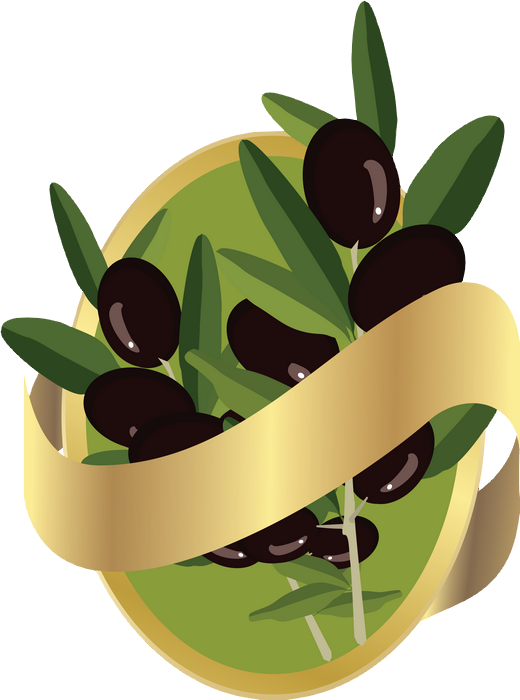 Huile D Olive Dessin (520x700)