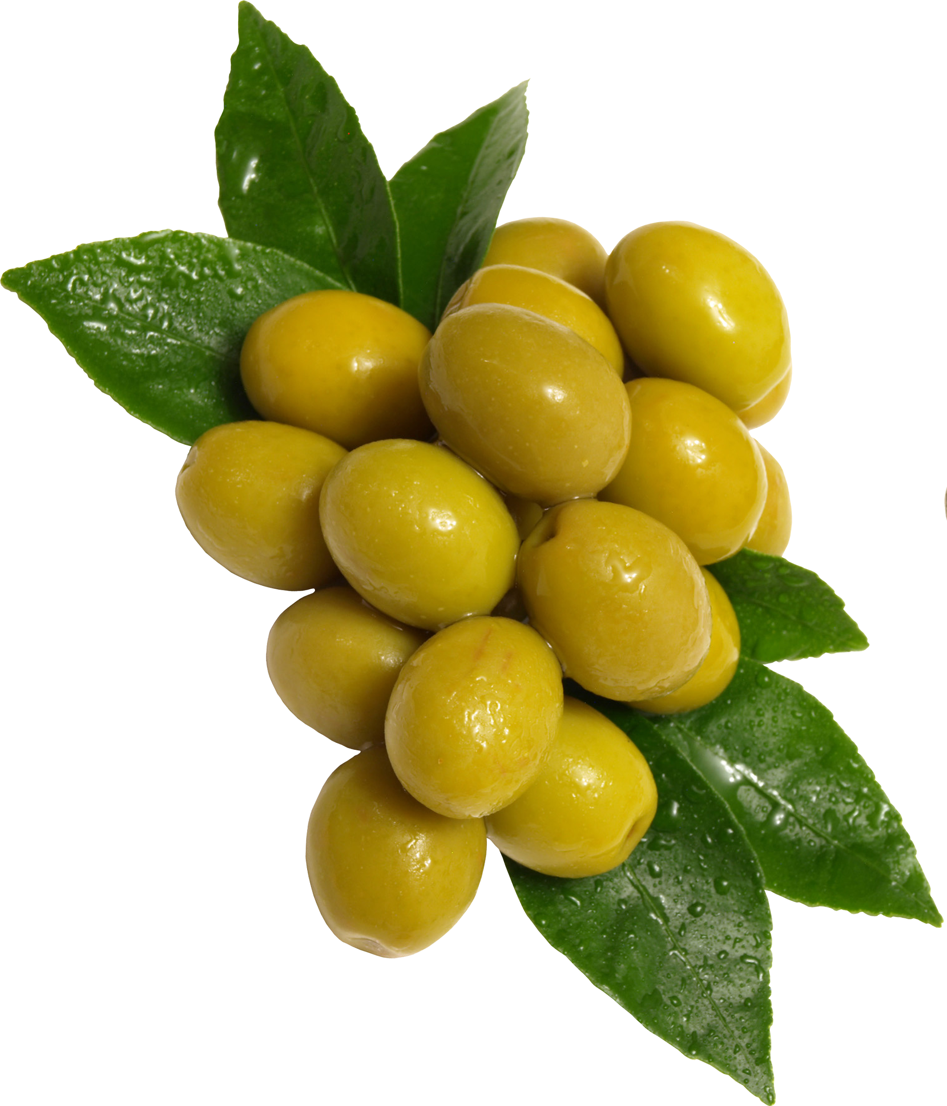 Green Olives Clipart Green Olives Clipart - Olives Png (1936x2260)