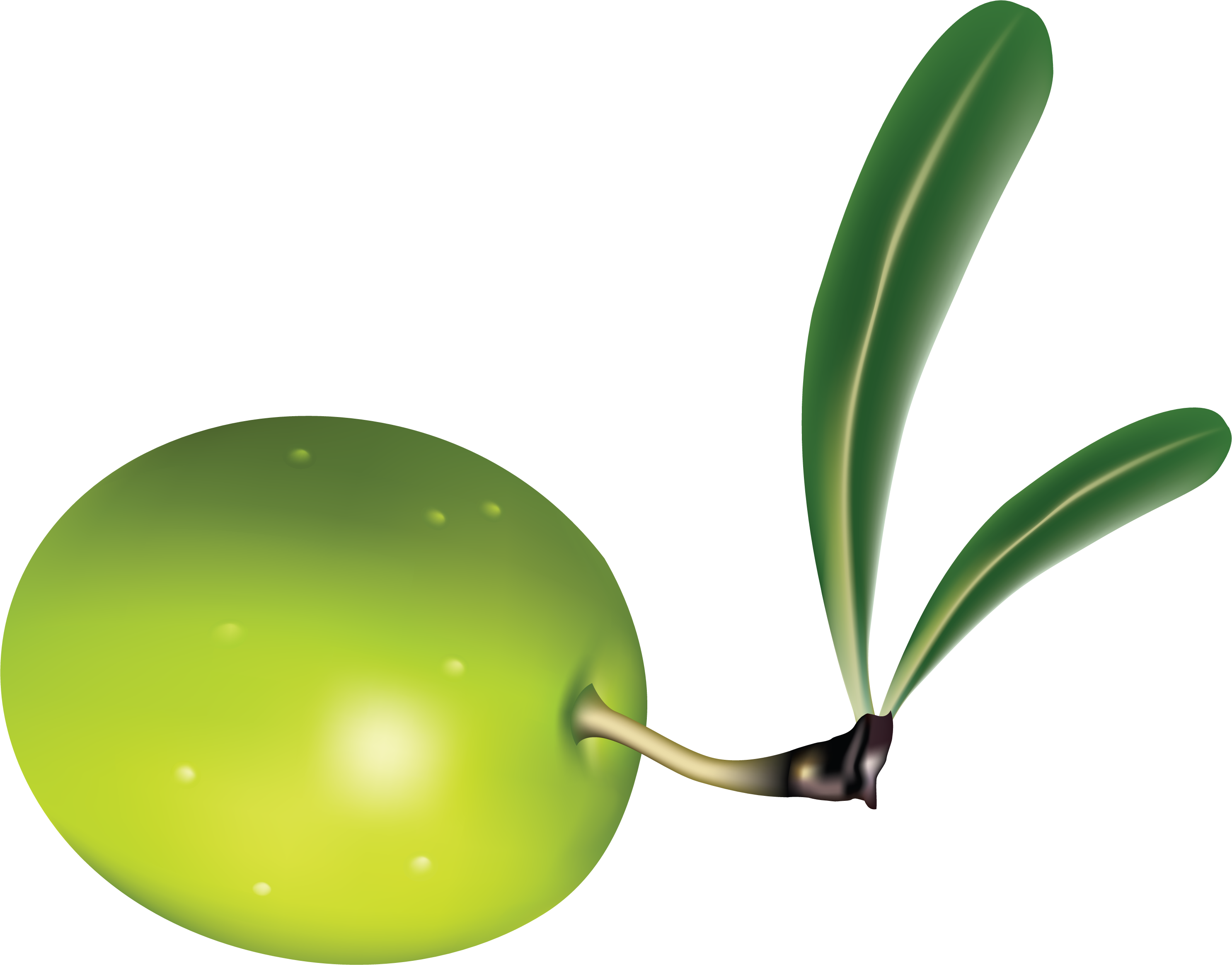 Olives Background Png Image - Olives Background Png Image (2973x2328)