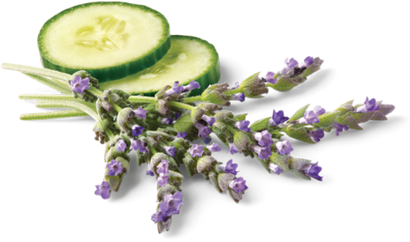 Rice Bran Oil - Avalon Organics - Brilliant Balance With Lavender & (600x600)