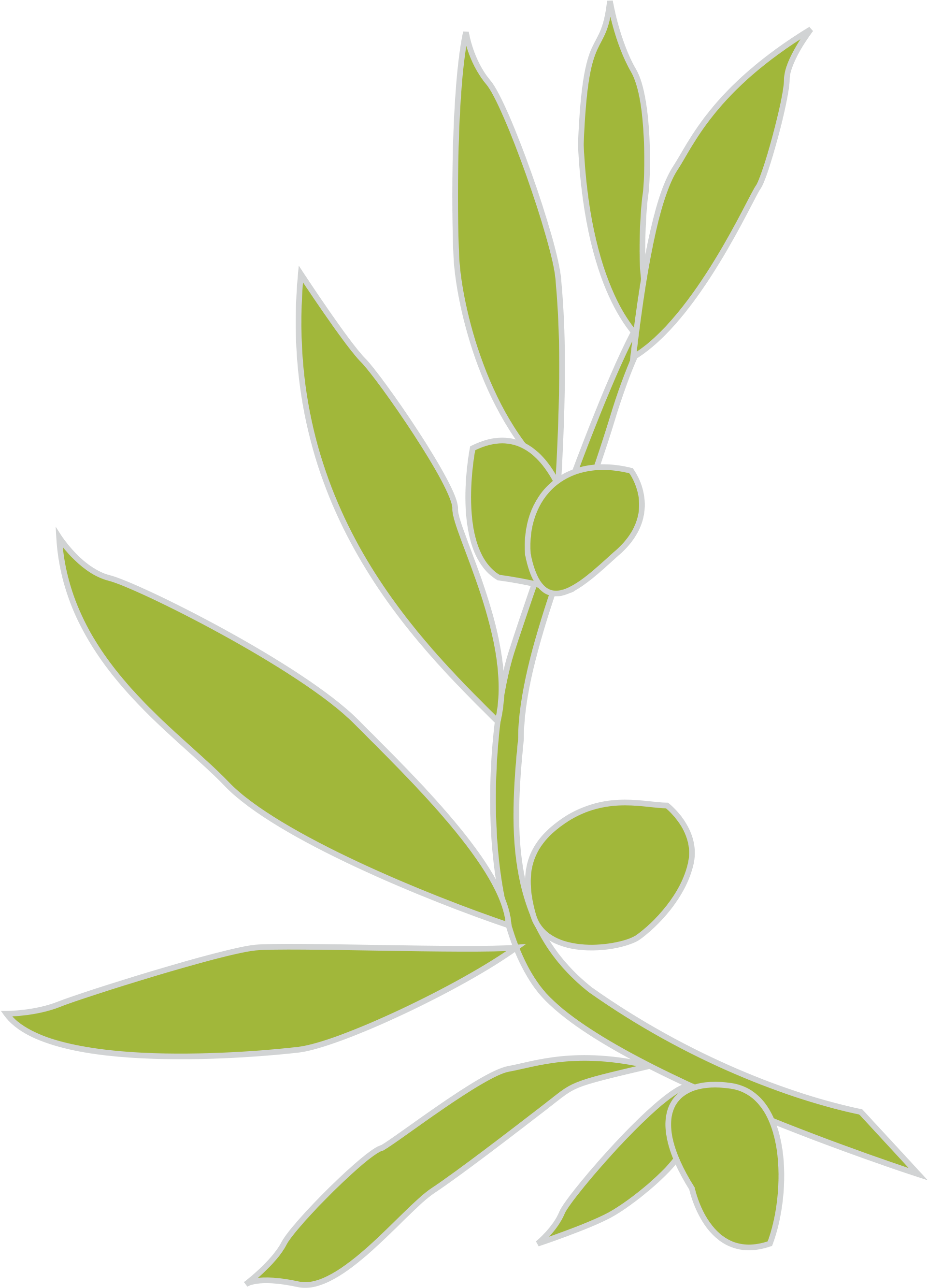 Olive Branch 22, Buy Clip Art - Olive Branch Png Vector (2000x2828)