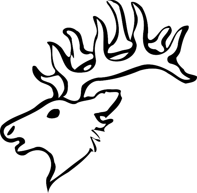 Head, Silhouette, Face, Skull, Cartoon, Deer, Heads - Draw A Deer Head (640x627)
