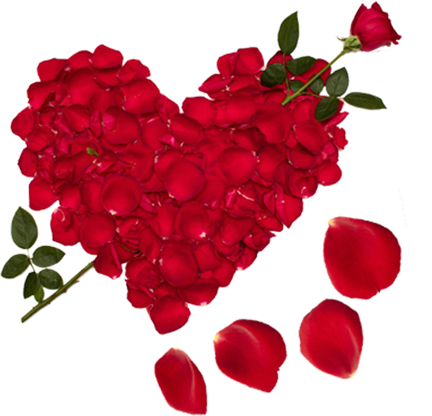 Love Girlfriend Boyfriend Friendship - Nice Pictures Of Flowers (945x945)