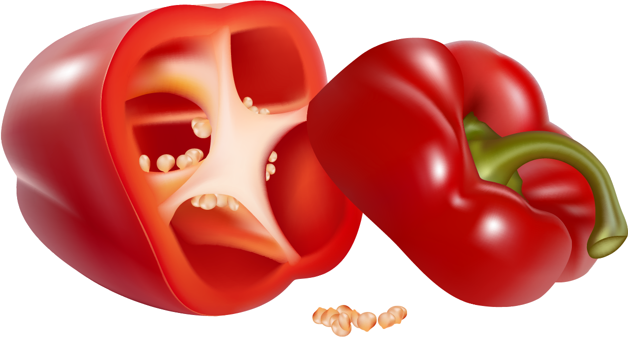 Bell Pepper Chili Pepper Vegetable Clip Art - Red Pepper Clipart (1284x704)