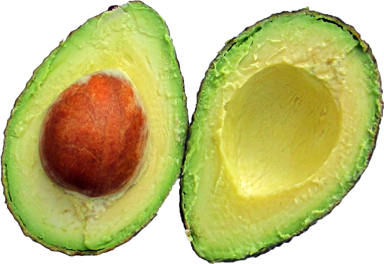 Avocado Png (1494x1059)