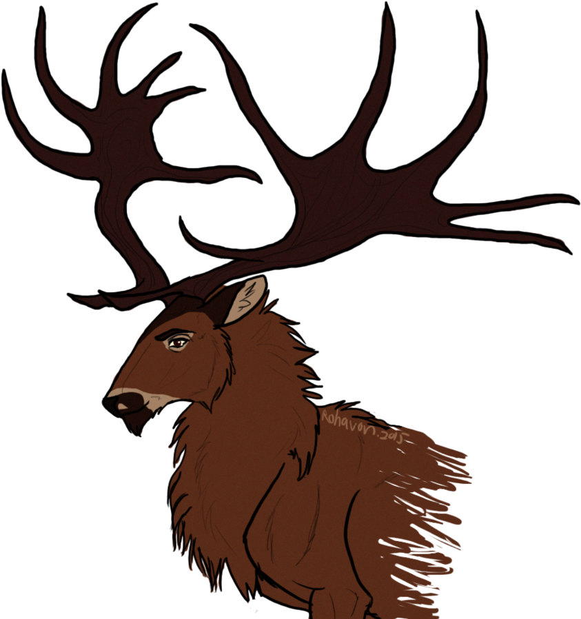 Irish Elk By Rohavon - Elk (886x901)