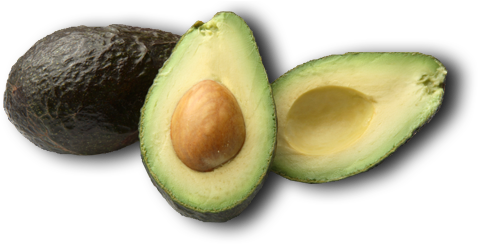 Avocado Png Clipart - Avacodo Clipart (490x260)