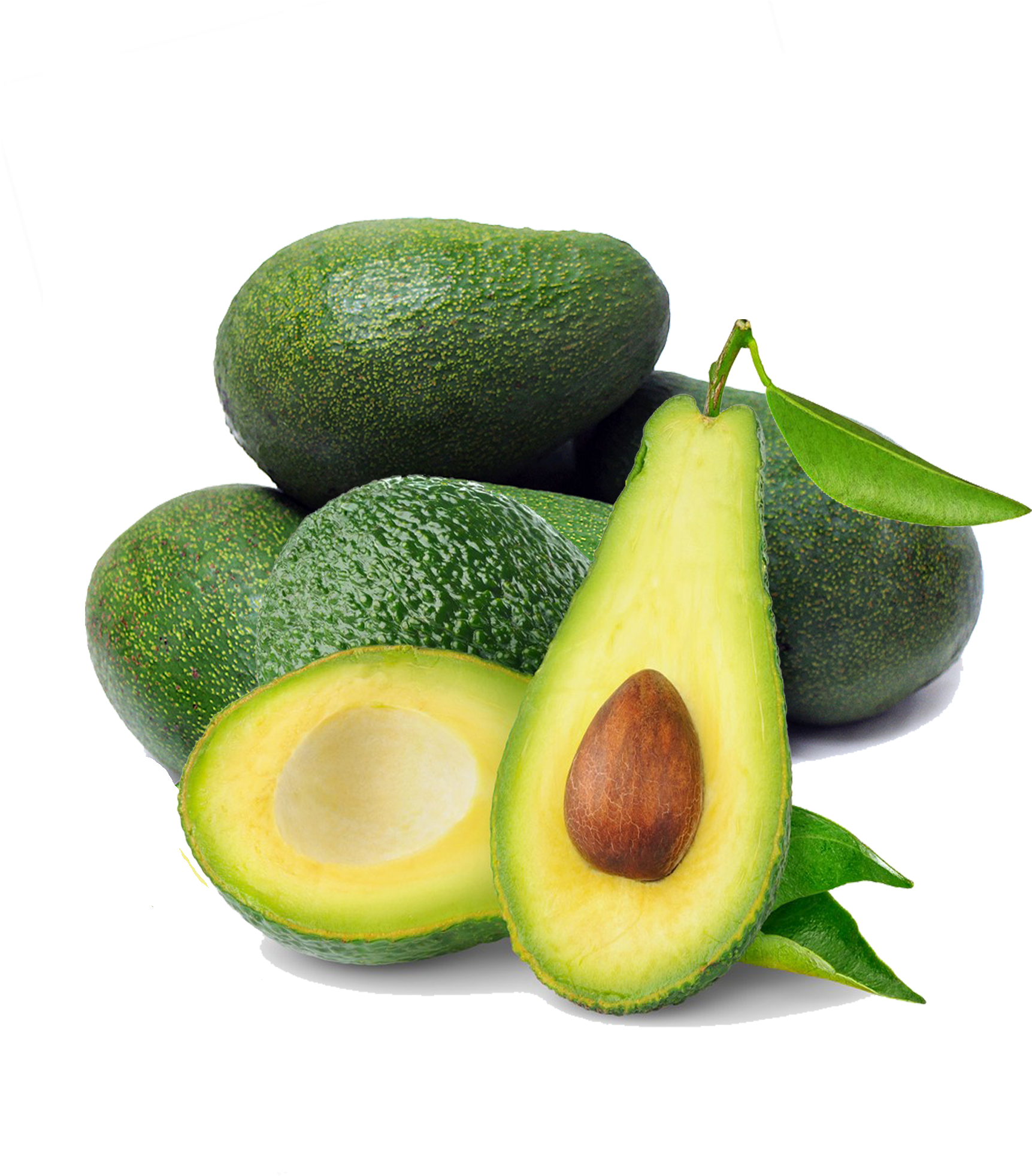 Download Avocado Png Image - Avocado Png (2048x2048)