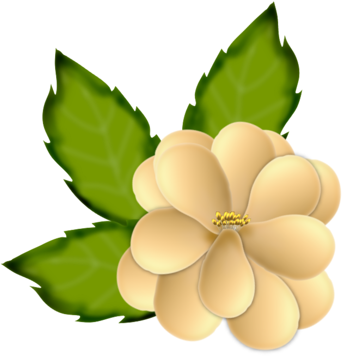 Tubes Fleurs - American Witch Hazel (800x781)