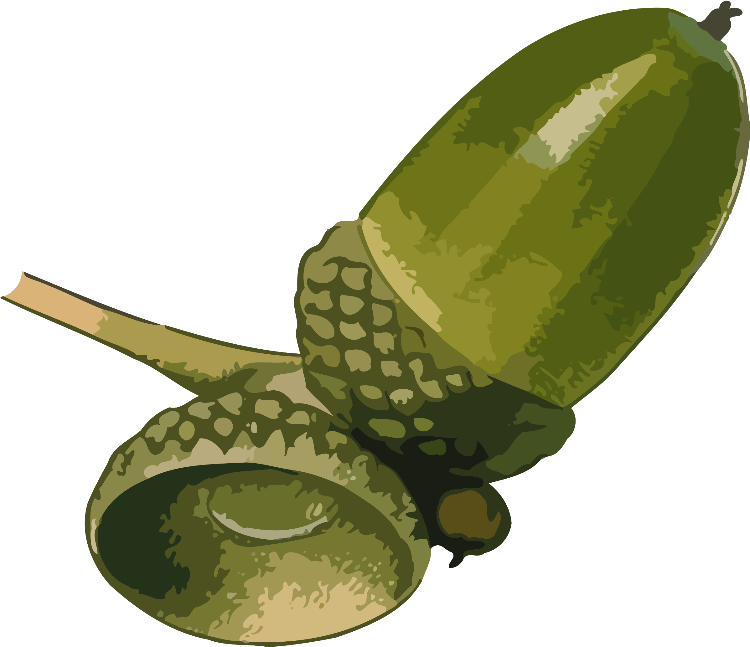 This Free Icons Png Design Of Acorn 3 - Green Acorn Clipart (2400x2094)