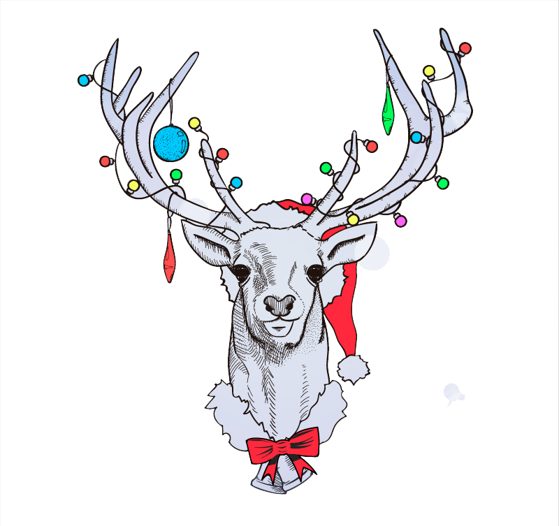 Reindeer Santa Claus Christmas - Reindeer Santa Claus Christmas (800x753)