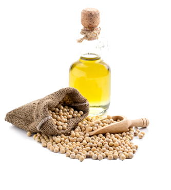 Improves General Well-being - Well-being (333x370)