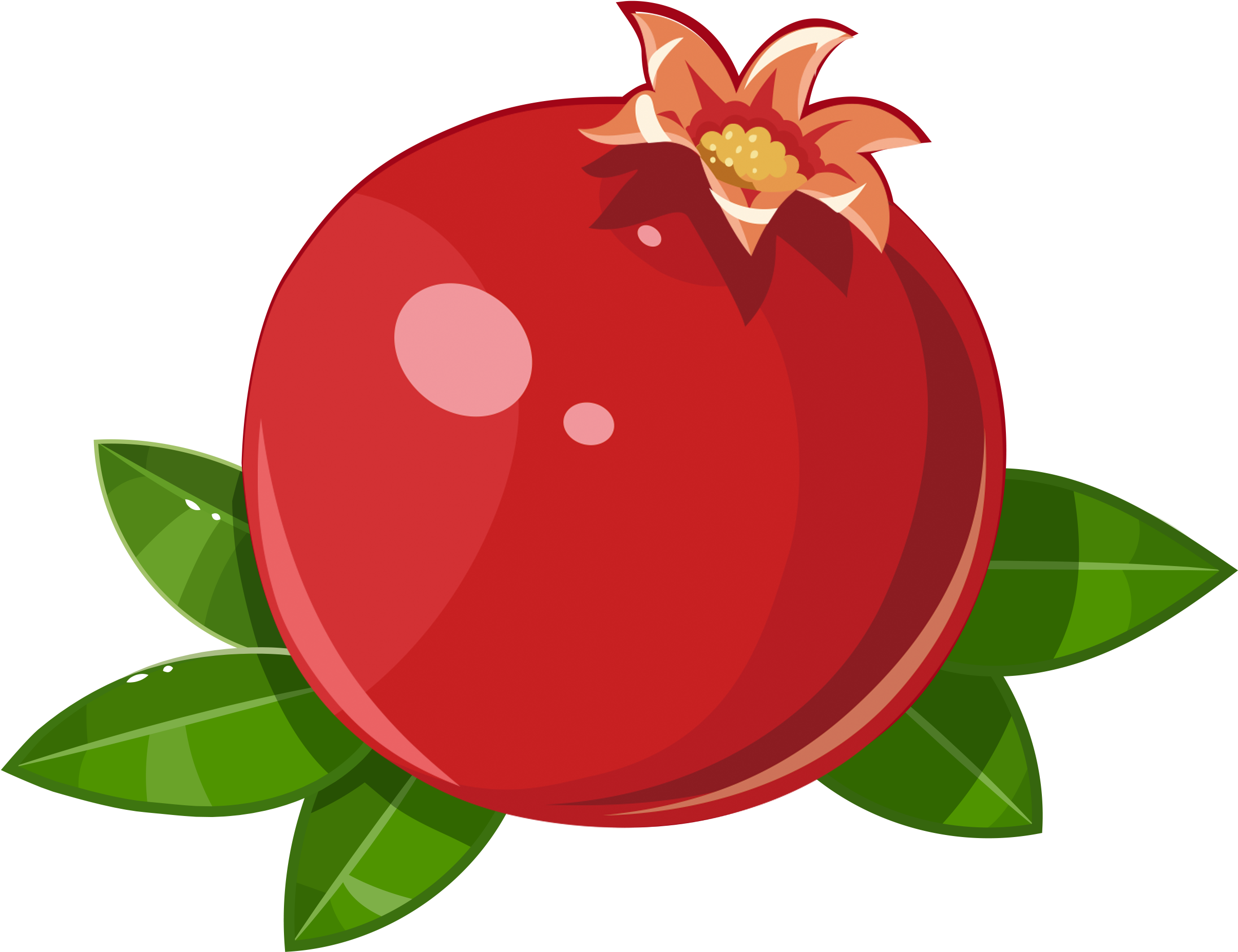 Pomegranate Frutti Di Bosco Fruit Illustration - Pomegranate Frutti Di Bosco Fruit Illustration (3608x2558)