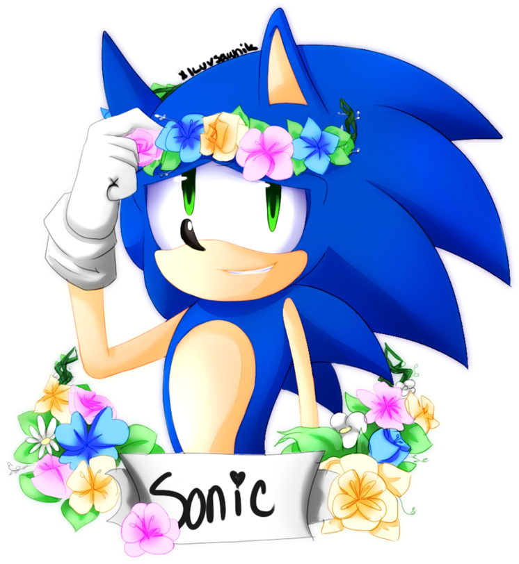 Flower Crown By Pyon-suki - Sonic With Flower Crown (886x901)