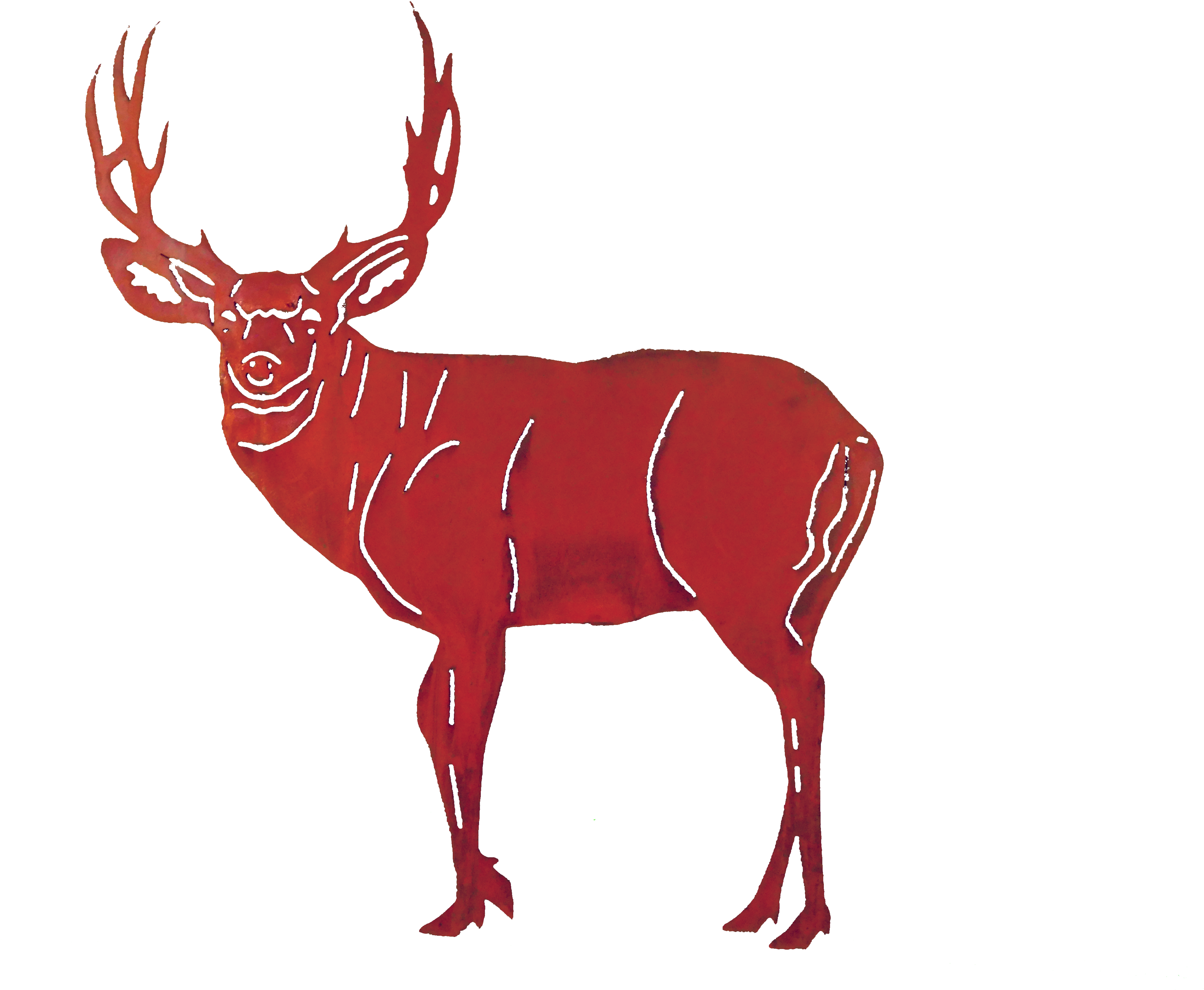 Deer-large Larger Image - Black And White Wildlife Scenes (4608x3456)