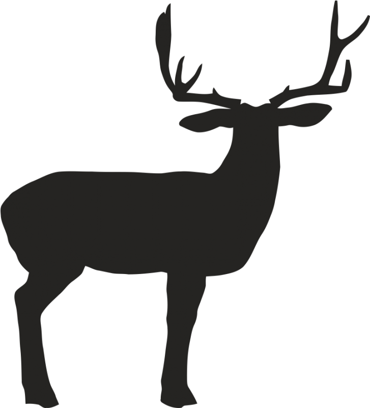 Reindeer White-tailed Deer Elk Antler - Reindeer White-tailed Deer Elk Antler (800x800)