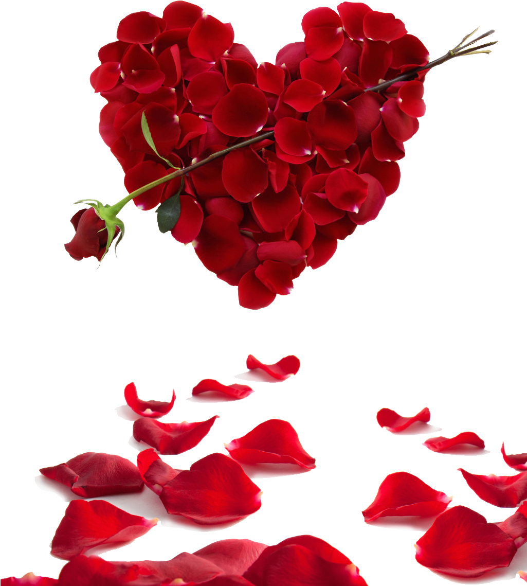 Rose Heart Flower Valentine's Day Wallpaper - Heart Hd Image S (1024x1252)