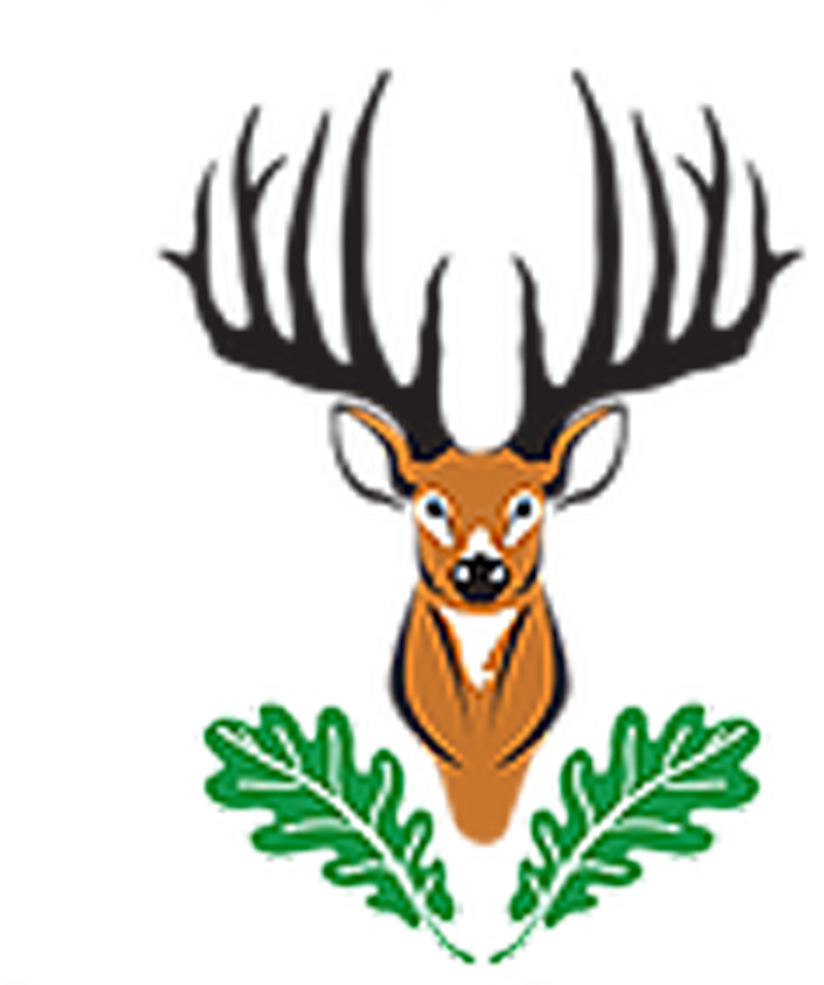 Oak Ridge Whitetail Deer Hunting Adventures - Elk (1200x984)