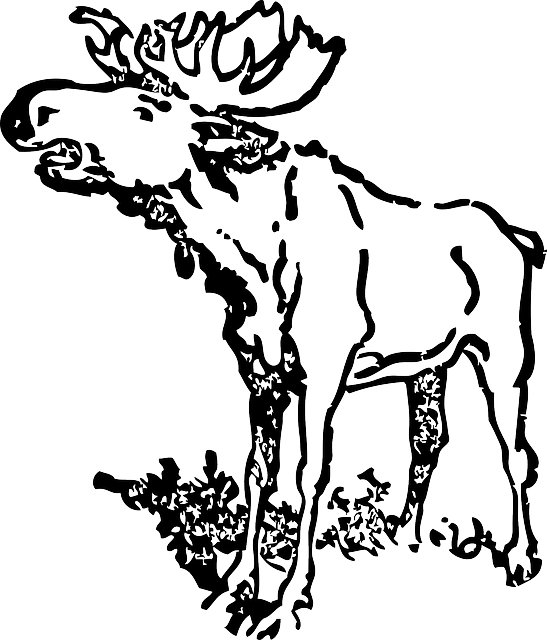 Loud, Moose, Animal, Antlers, Head, Cartoon - Black And White Moose (547x640)