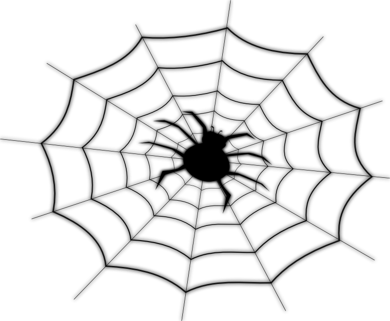 Spider Web Clip Art - Spider Web Shower Curtain (800x659)