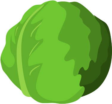 Organic And Healthy Food - Head Lettuce Icons (550x550)