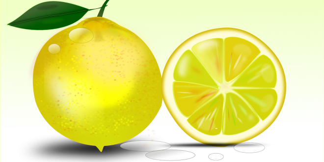 Explore Sour Foods, Vector Graphics And More - Dibujo De Limon A Color (660x330)