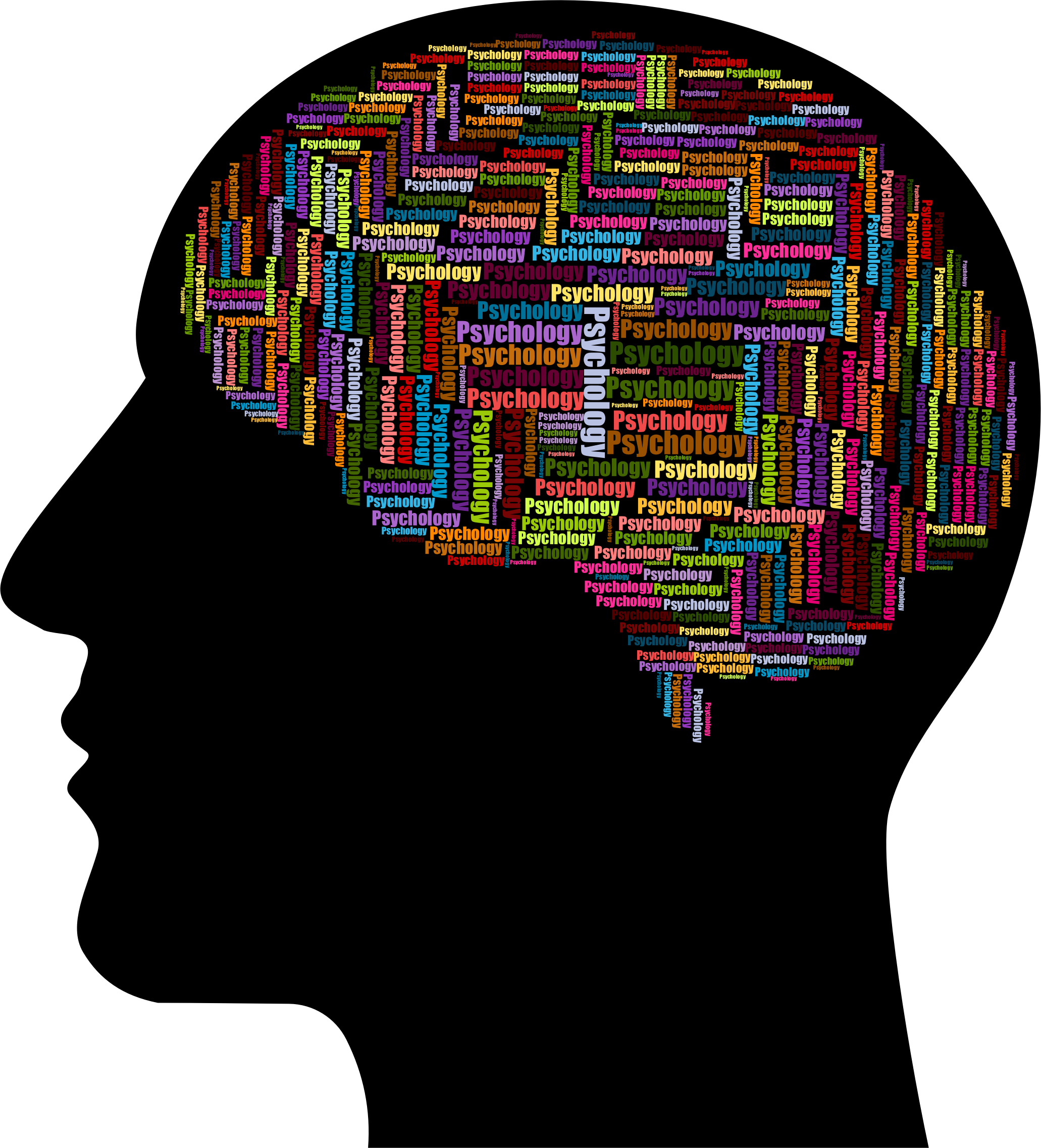 Big Image - Psychology Head Png (2062x2274)
