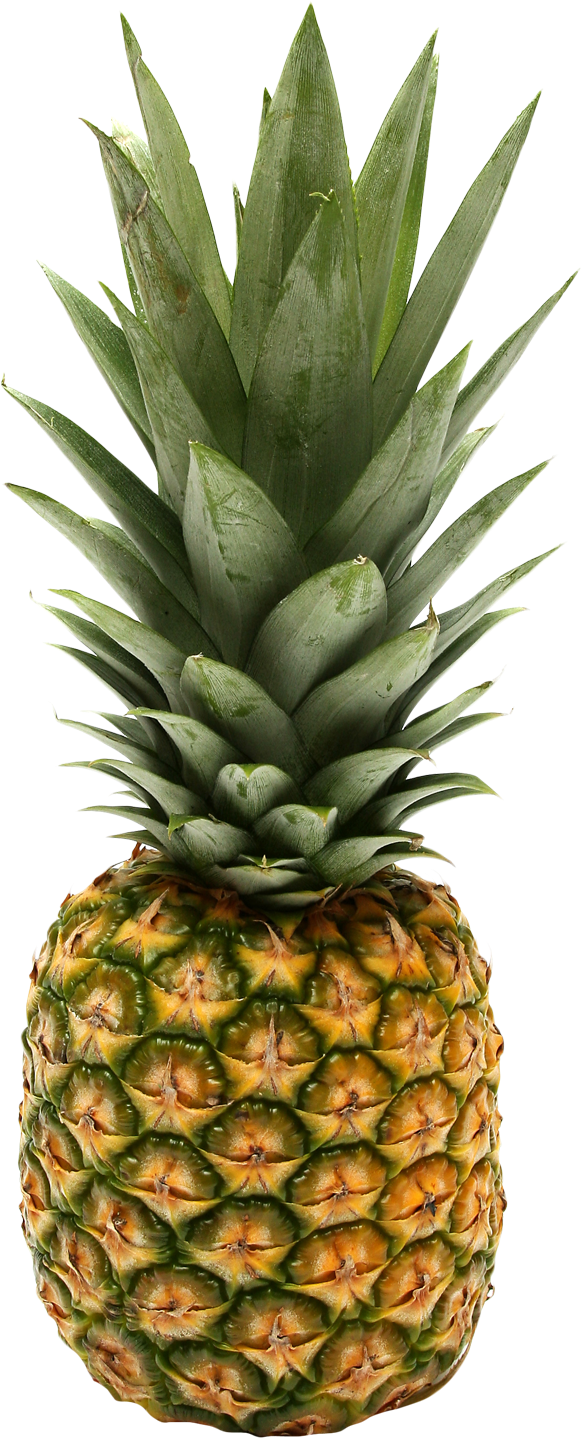 This High Quality Free Png Image Without Any Background - Paleta De Piña Colada (632x1489)