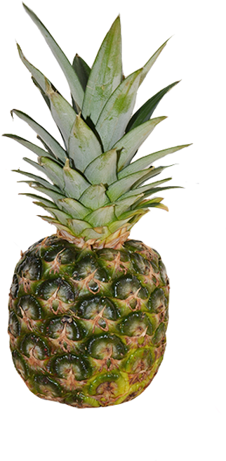 I Took Inspiration For The Types Of Fruit I Used From - Pineapple Emoji No Background (454x694)