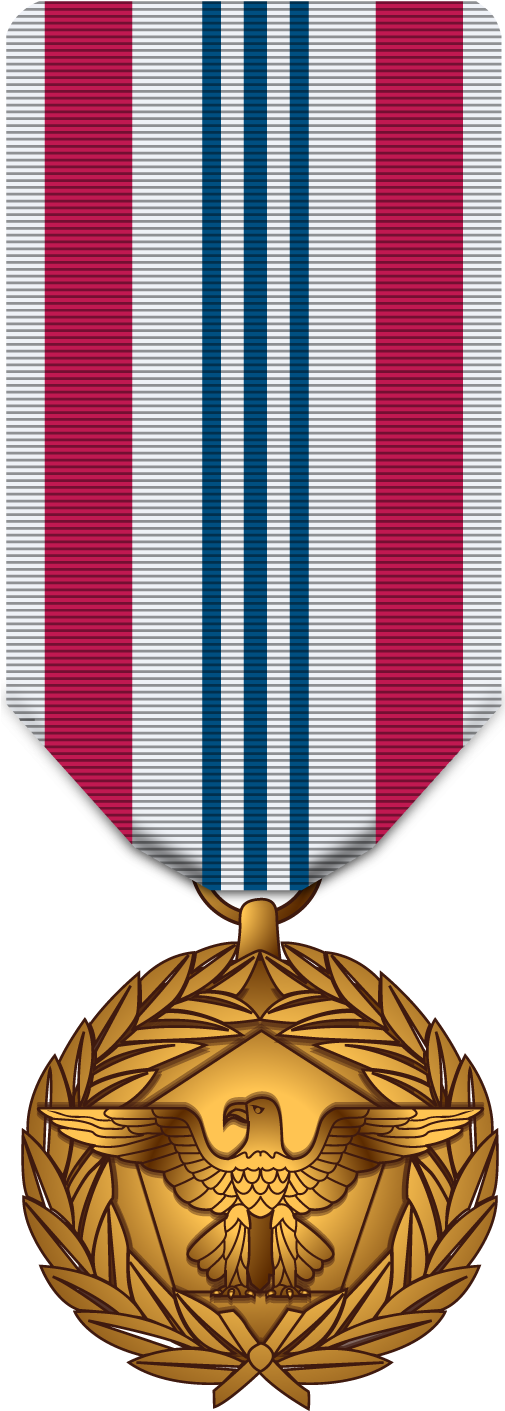 Defense Meritorious Service Medal - Gold Medal (504x1422)