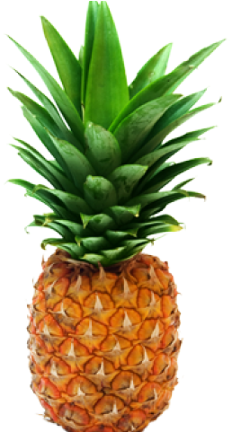 Pineapple Png Transparent Images - Hawaiian Pineapples Png (640x480)