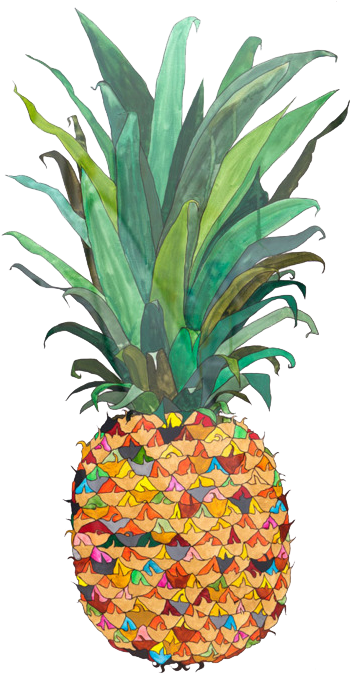 Tumblr Transparent Pineapple - Pineapple Drawing (432x700)