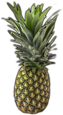 Pineapple Green Png - First The Spiritual Then The Natural Fruit (500x400)