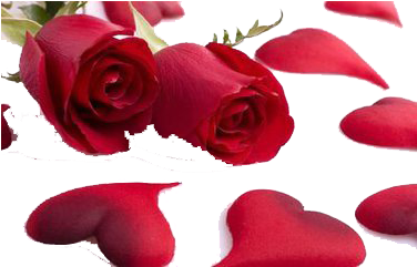 Valentines Day Heart Rose Flower Gift - Valentines Day Heart Rose Flower Gift (500x500)