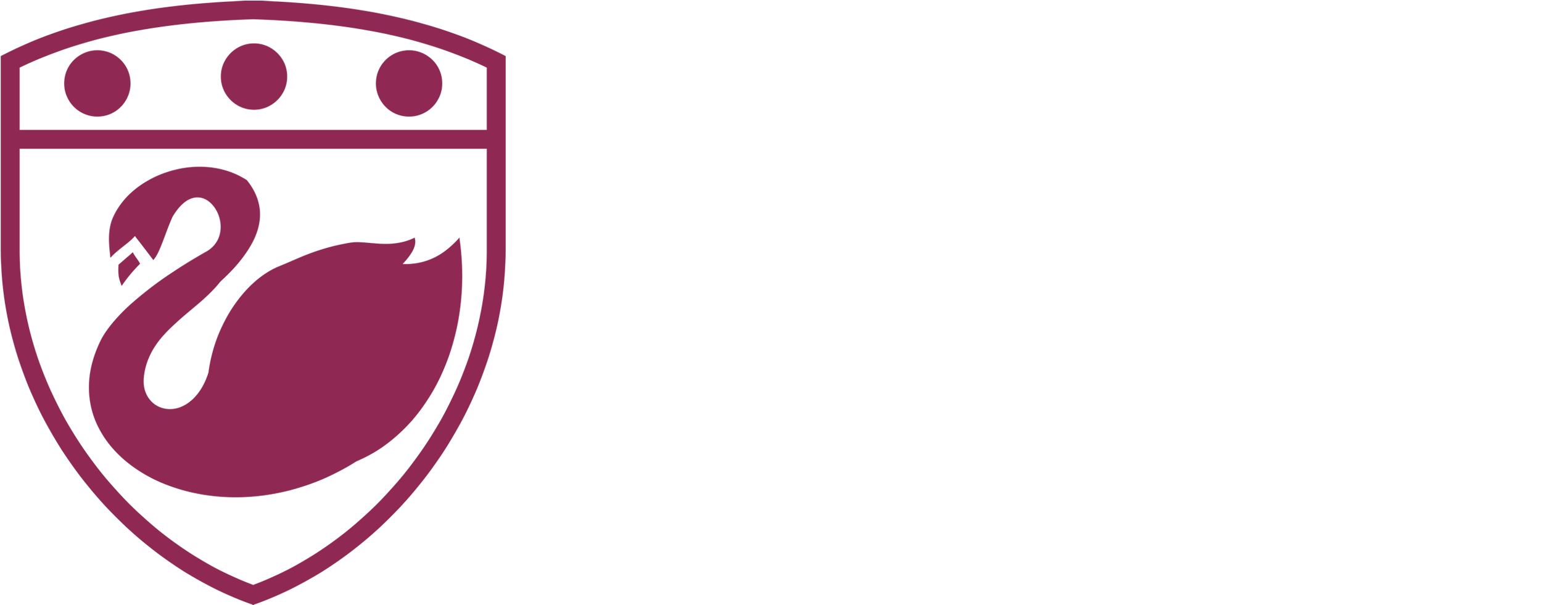 Logo - Paulet High School Logo (2700x1000)